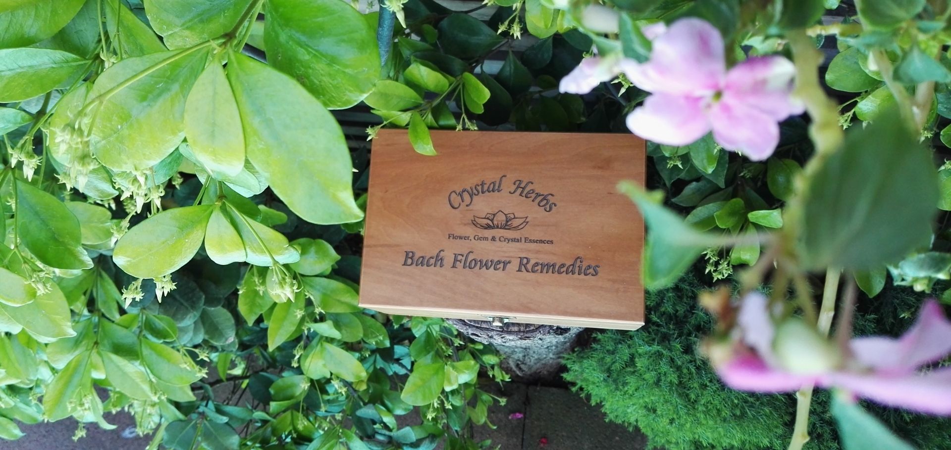 Flores de Bach para niñ@s